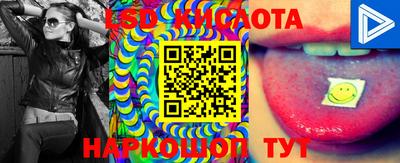 apvp Чебоксары