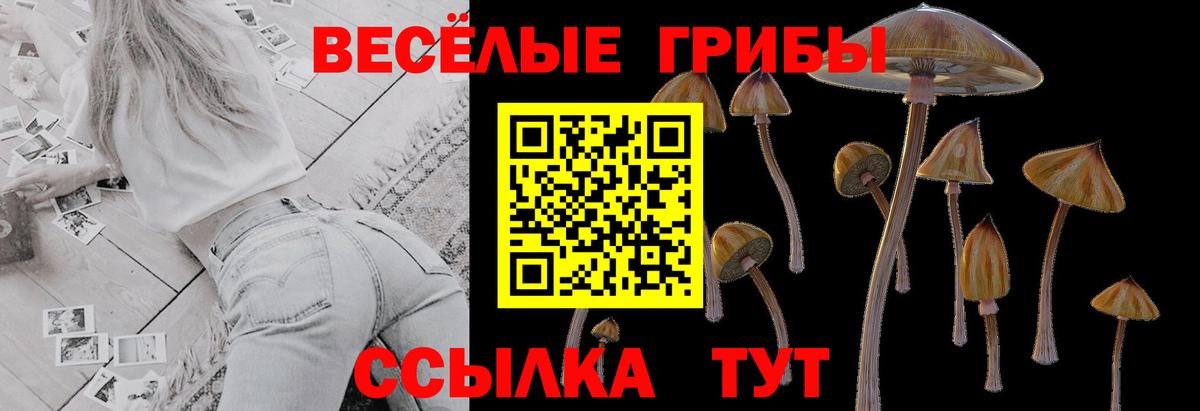 Выкса  Галлюциногенные грибы GOLDEN TEACHER  Псилоцибиновые грибы Psilocybine cubensis  Вход с VPN 